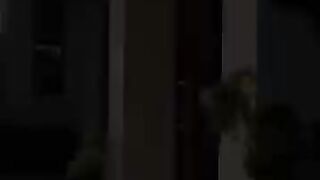Animated video 43