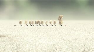 Animated shortfilm
