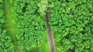 Green desh