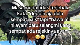 DAFTAR BOSPLAY AGEN SABUNG AYAM ONLINE RESMI AMAN DAN TERPERCAYA 3