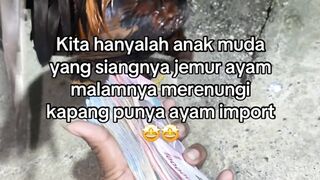 DAFTAR BOSPLAY AGEN SABUNG AYAM ONLINE RESMI AMAN DAN TERPERCAYA 10