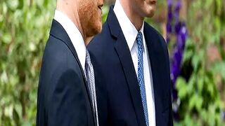 William and Harry Stopped From Inheriting Dianas