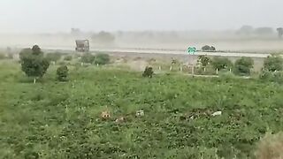 Pakistan 87