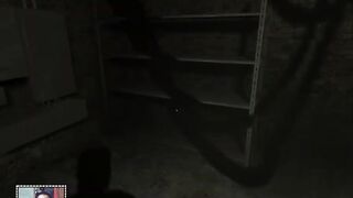 Outlast 1 - Part 06