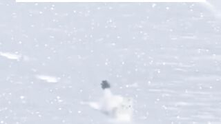 Actual footage of me