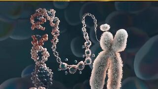 ما الفرق بين الصبغي  DNA و RNA