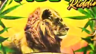 Reggae Vibe Beat