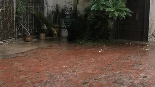 Summer rain