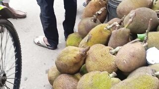 Jackfruit 9