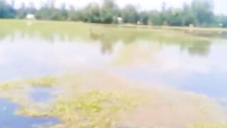 My New videos