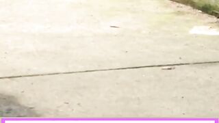 Snake  And Cat  Big Fight Recorded On Camera