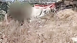 من اين له هذا البأس والعزم والقوه