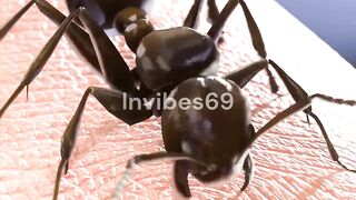 Stunning Way Ants Bite