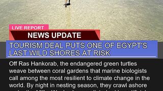 Tourism Deal Puts One of Egypts Last Wild Shores
