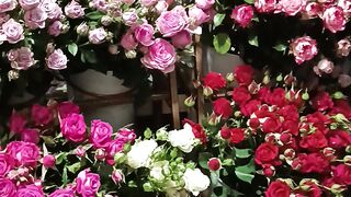 Flower 53