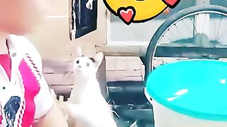 Cat bags man for food  holy way