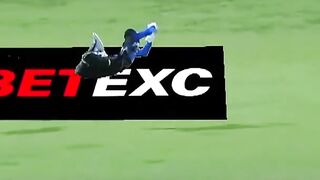 Fly like a Eagle Falcon