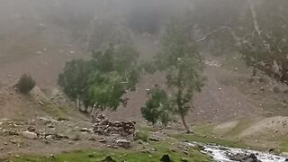 Beautiful view