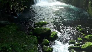 Where nature whispers peace and every view feels like a dream.