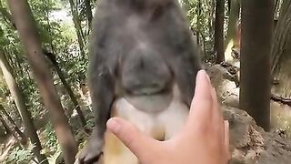 Fun   masti    FunVideo  funnyreels 287