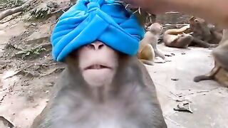 Fun   masti    FunVideo  funnyreels 289