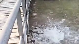 Fun   masti    FunVideo  funnyreels 291
