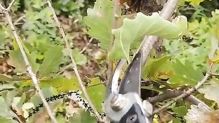 Fun   masti    FunVideo  funnyreels 293