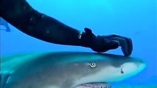 Fun   masti    FunVideo  funnyreels 296