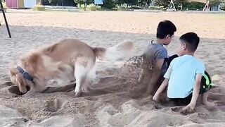 Fun   masti    FunVideo  funnyreels 298