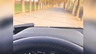 Fun   masti    FunVideo  funnyreels 300