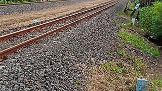 Very beautiful train