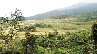 Biyoutifuul