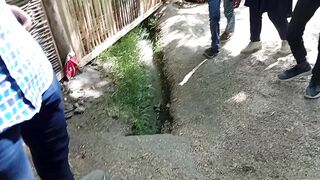 Altit garden