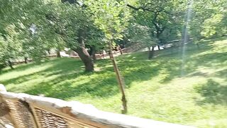 Beautiful path