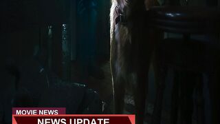 Good Boy Trailer Ifc Films Horror Pic Debuts F