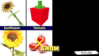 Grow A Garden Roblox Plants VS Real