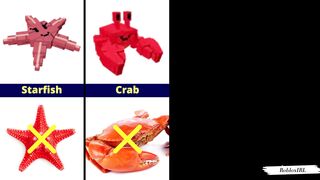 Grow A Garden Roblox Pets VS Real Life