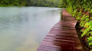 hiking hikinginsingaporenparksbuzzsingaporenaturerainforestpeace - Lower Peirce Reservoir hiking- Singapore