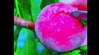 Amazing Fruit Cutting Entertainment  Satisfying  Fun Show