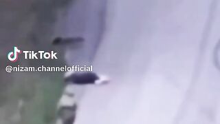 РУСКИ МАРОДЕР