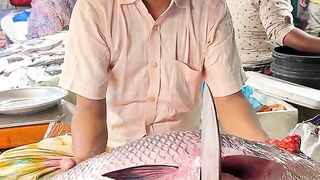 fish wonderful