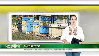 КЛИМАТИЧНИТЕ ПРОМЕНИ ЩЕ ОТКАЖАТ МАЛКИТЕ ПЧЕЛАРИ