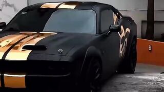 Nice Car