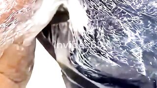 Have You Ever Seen Horse Foamy Sweat?