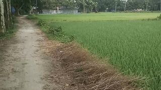 A beautiful road 2