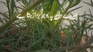 Kisi ka Dil Nahin dukhana chahie