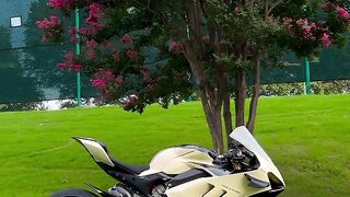 Ducati Street Monster