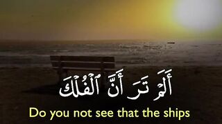 Tilawat e Quran 28