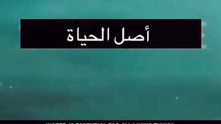 الاعجاز العلمي في القرآن الكريم