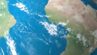 Where every creature matters Vantara Foundation, led by Anant Ambani, shelters Earths most GreenLegacy AnantDada